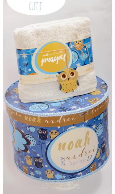 Trusou de botez cu broderie personalizata pentru baieti, Owl Baby Boy 5